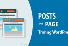 Hướng dẫn sử dụng Posts(Bài viết) và Page(Trang) trong WordPress