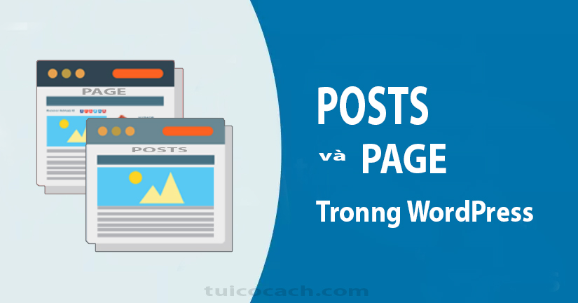 Hướng dẫn sử dụng Posts(Bài viết) và Page(Trang) trong WordPress