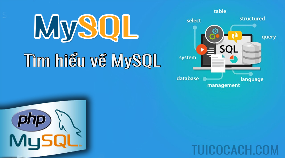 MySql là gì Tìm hiểu về hệ quản trị cơ sở dữ liệu MySql