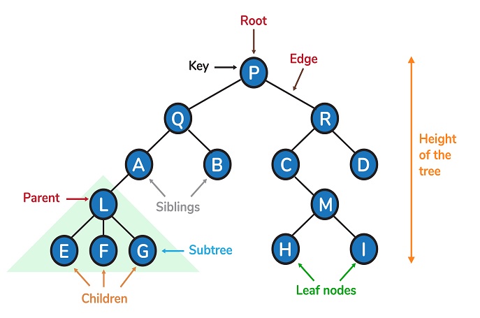 Cây đa phân trong lập trình C/C++ - Cấu trúc dữ liệu cây đa phân